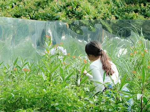 PP������Ϸ(�й�����)�ٷ���վ