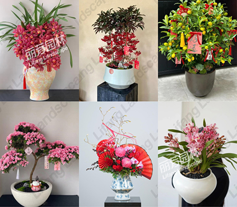 PP������Ϸ(�й�����)�ٷ���վ