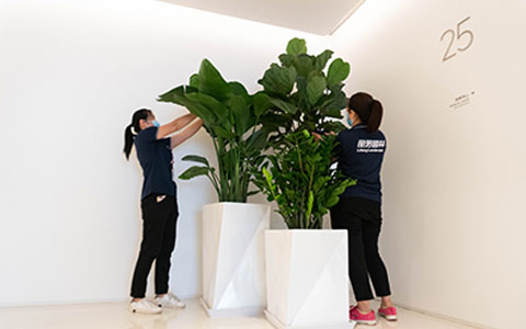 PPϷʺϰڷŰ칫ҵɫֲ