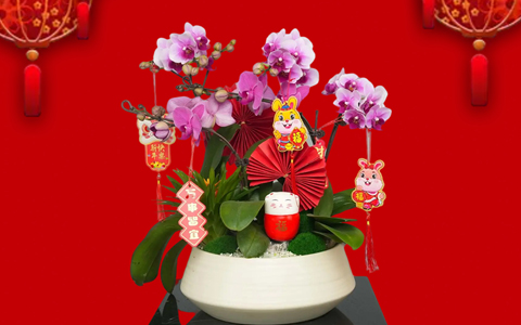 껨俪 | PPϷ´ۺ껨Ԥ