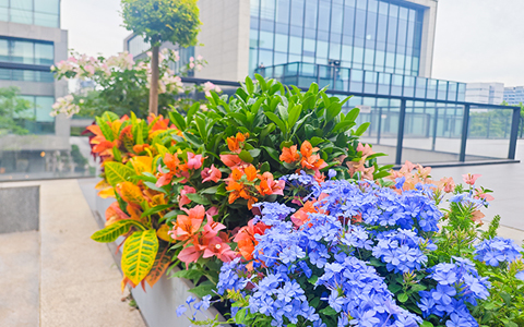 PP������Ϸ����������ۿƼ�԰����������조�����͡���ҵ�ռ�