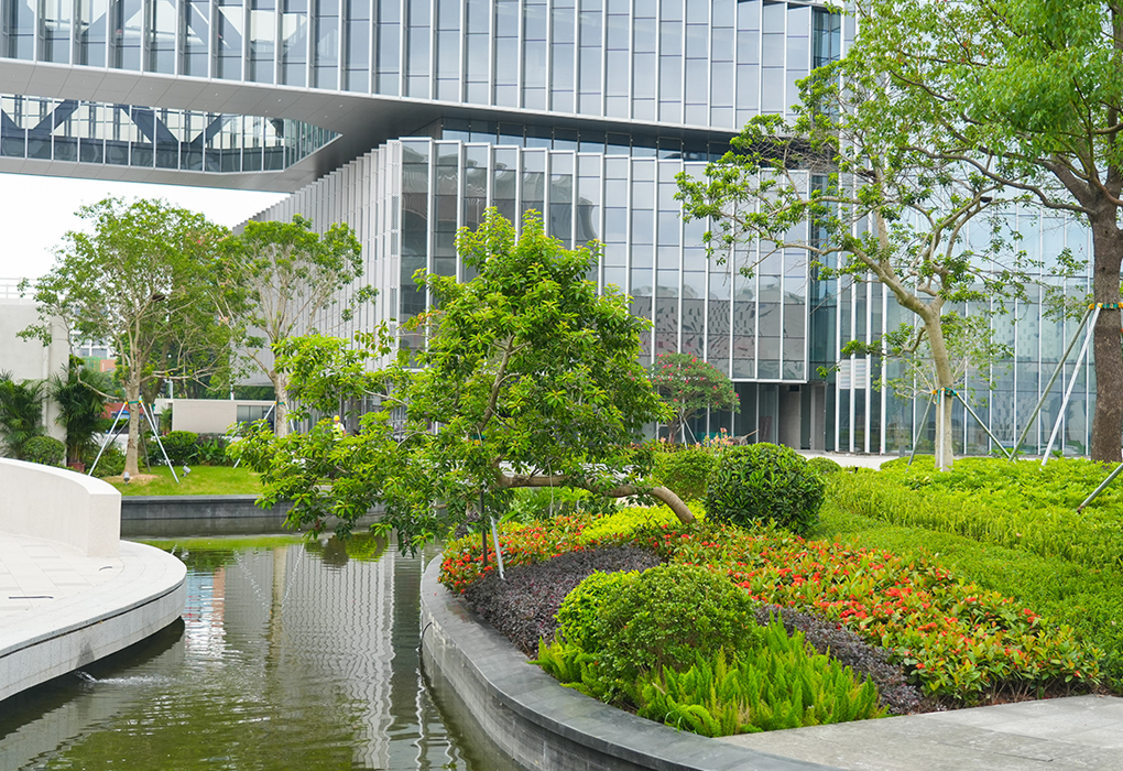 中山明阳集团新总部景观工程施工